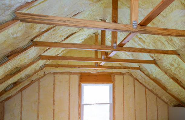 Best Eco-Friendly Insulation in Cedar Grove, WI
