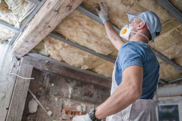 Professional Insulation Contractor in Cedar Grove, WI