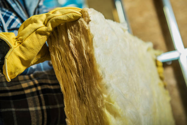 Best Spray Foam Insulation in Cedar Grove, WI