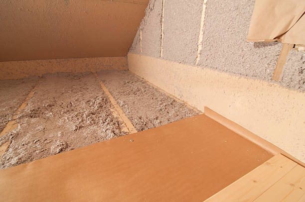 Best Eco-Friendly Insulation in Cedar Grove, WI